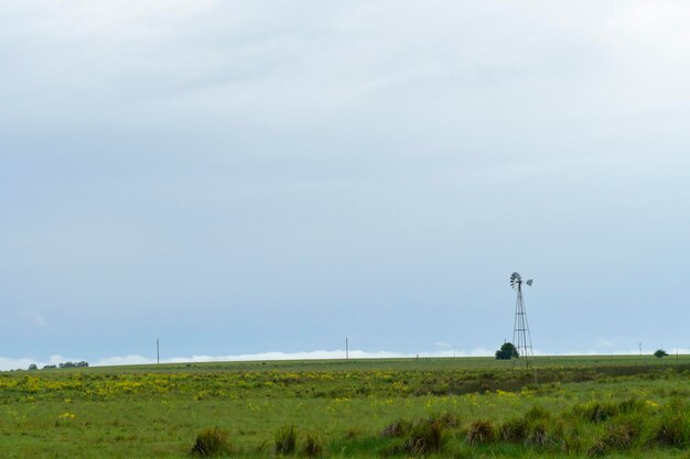 A wind turbine farm in a rural area, under a clear blue sky. The image represents the growing shift towards renewable energy and the impact of environmental policies promoting sustainable energy sources.