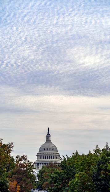 Examining Lobbying’s Impact on Healthcare Legislation: Who Benefits?