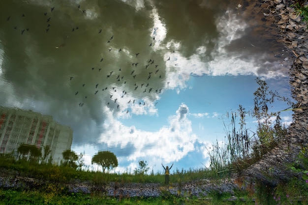 A split image showing contrasting environmental conditions: one side depicts a pristine forest, and the other side shows an industrial area with pollution.